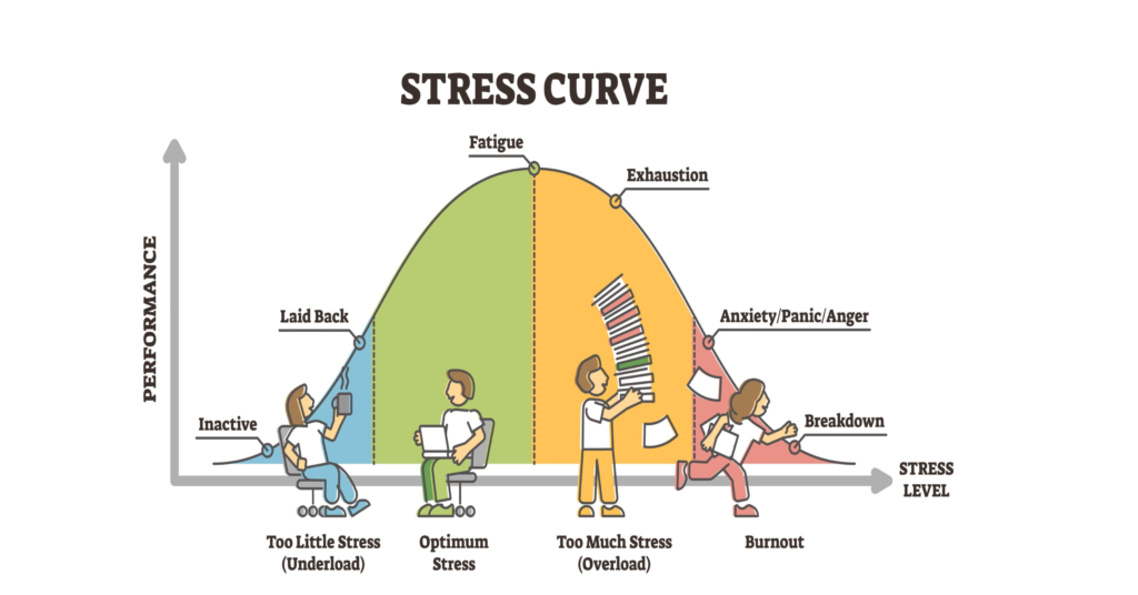 Fig. 1 Stress curve diagram 