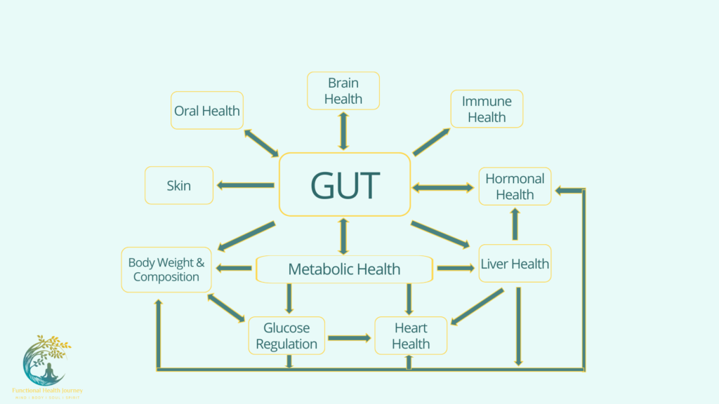 Gut Health Connection 